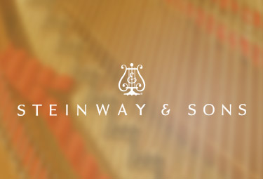 施坦威殿堂級鋼琴官網(wǎng)設(shè)計