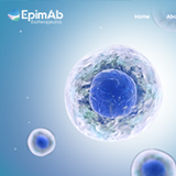 生物醫(yī)藥網(wǎng)站建設(shè)