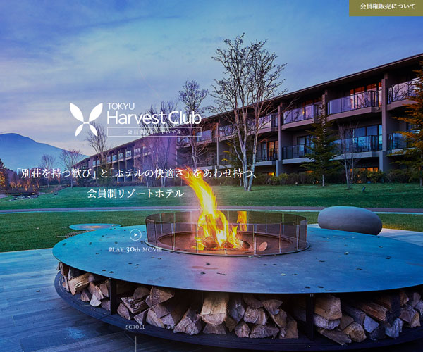 精美的首頁圖片